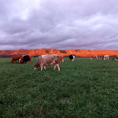 Kuhstall Apartamento Reinhardtsdorf-Schona