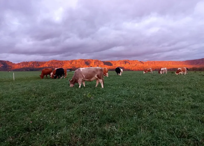 Kuhstall Appartement Reinhardtsdorf-Schona